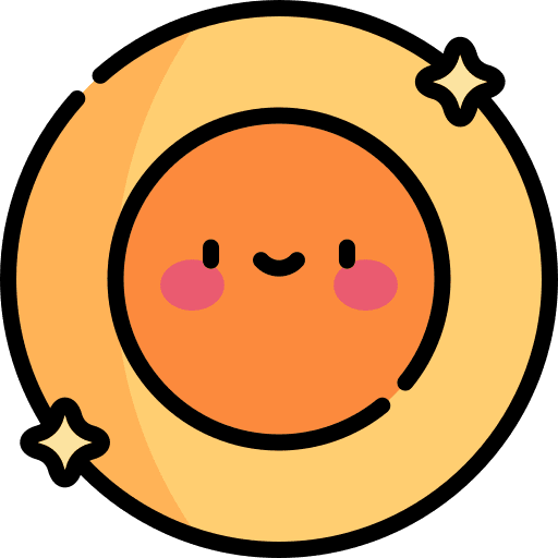 Coin money coin business icon