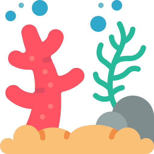 Reef aquatic coral reef marine icon