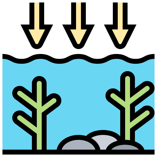 Ocean plant sea ecology and environment icon