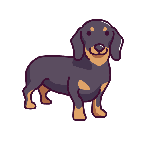 Dachshund dachshund pets pet icon