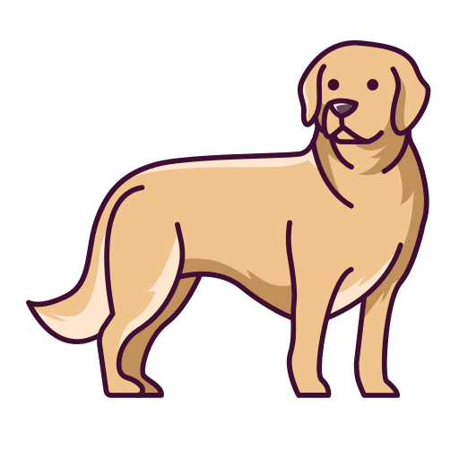 Golden retriever golden retriever pet animals icon