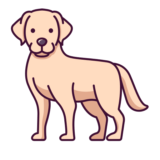 Labrador retriever pet animals pets icon