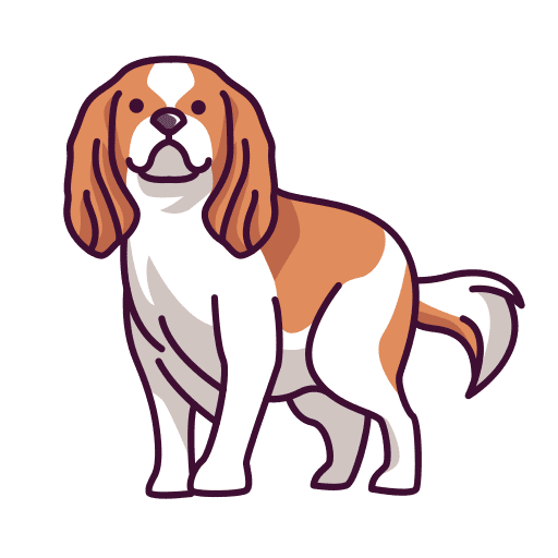 Cavalier king charles spaniel animals cavalier king charles spaniel pet icon