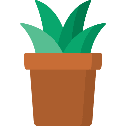 Plant pot dry cactus botanical icon