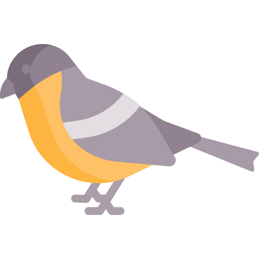 Bird bird animal ornithology icon