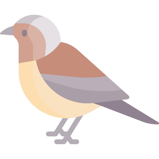 Bird ornithology bird animal icon