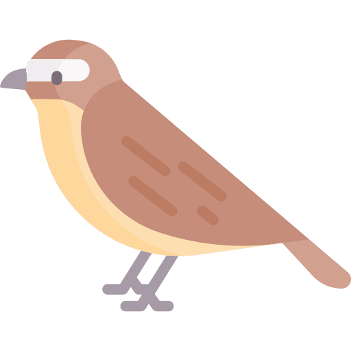 Nightingale bird animals nightingale icon