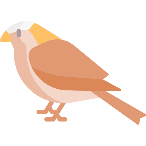 Sparrow sparrow bird animals icon