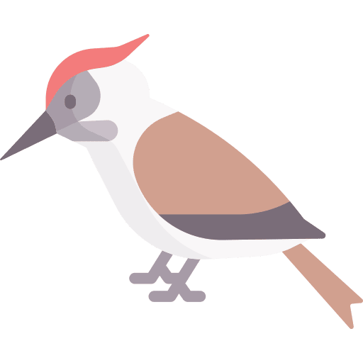 Woodpecker bird woodpecker zoo icon