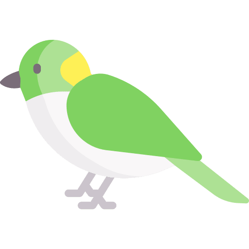 Bird animal bird ornithology icon