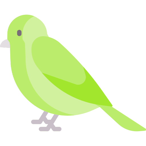 Bird ornithology animal animals icon