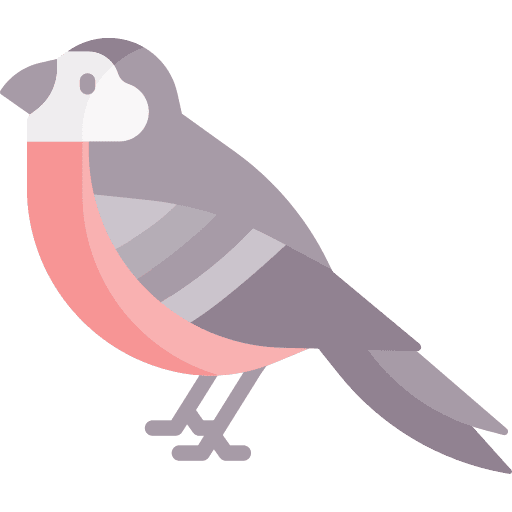 Bird ornithology animals animal icon