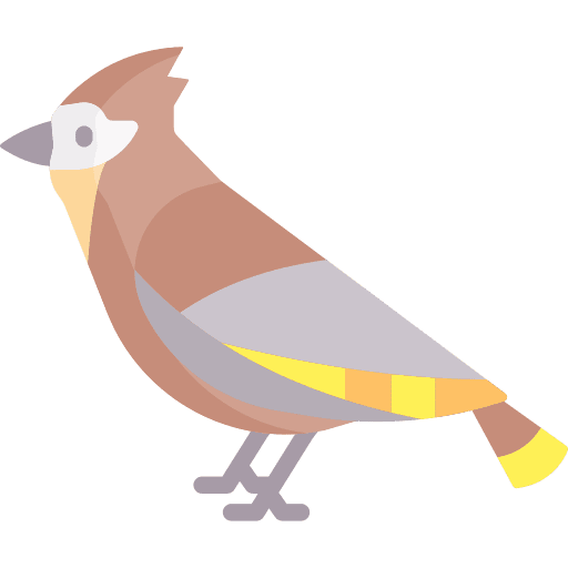 Bird zoo animals ornithology icon