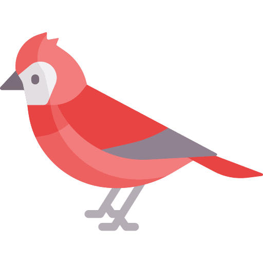 Cardinal animals bird cardinal icon
