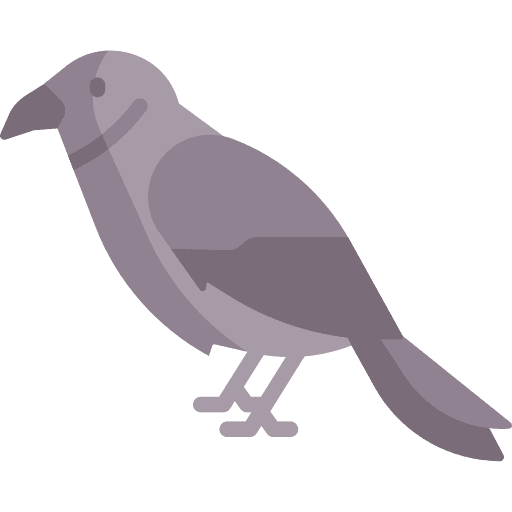 Crow bird animal ornithology icon