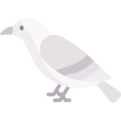 Dove zoo dove bird icon