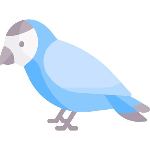 Parrot bird animal ornithology icon