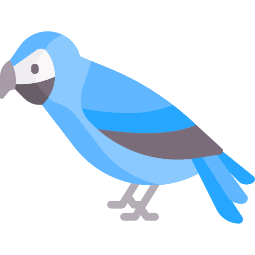 Parrot bird ornithology animal icon