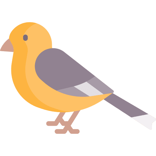 Robin animals animal bird icon