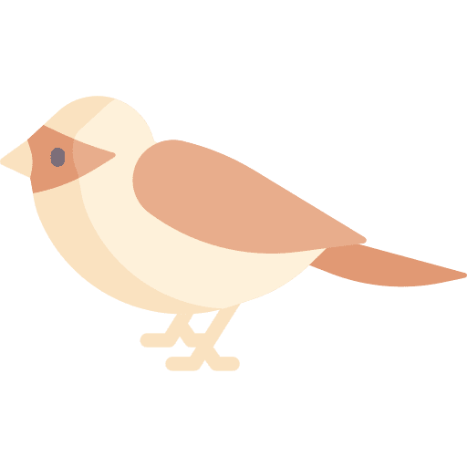 Sparrow animals ornithology animal icon