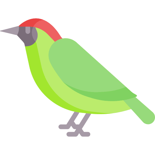 Woodpecker ornithology bird zoo icon