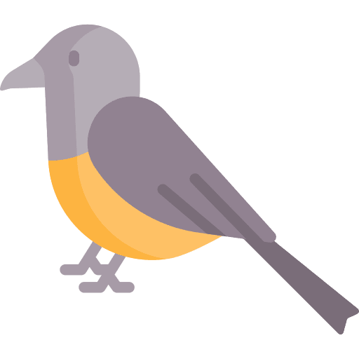 Bird animal zoo ornithology icon