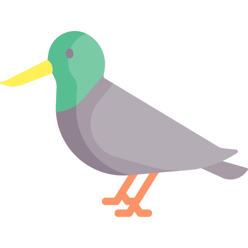 Bird bird animals zoo icon