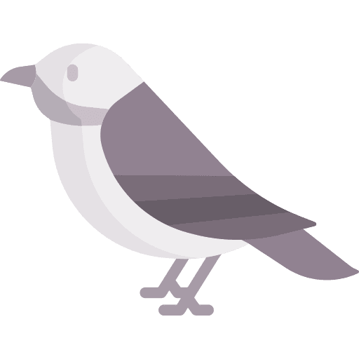 Bird zoo ornithology animals icon