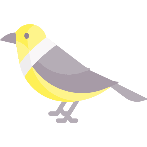 Bird zoo ornithology bird icon