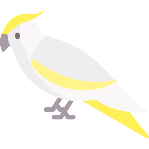 Cockatoo ornithology animals zoo icon