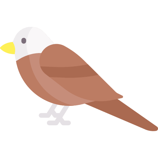 Eagle zoo animal eagle icon