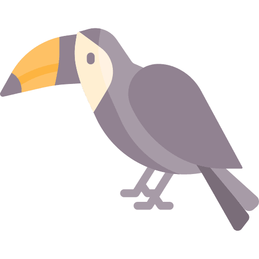 Hornbill bird zoo animal icon