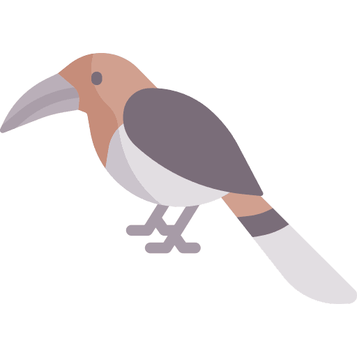 Hornbill ornithology bird hornbill icon