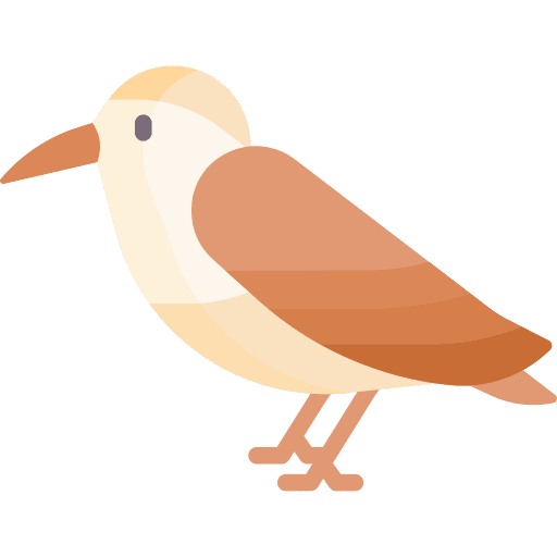 Hummingbird ornithology bird zoo icon