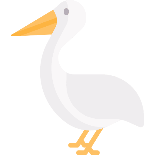 Pelican bird pelican zoo icon