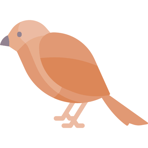 Sparrow ornithology animal bird icon