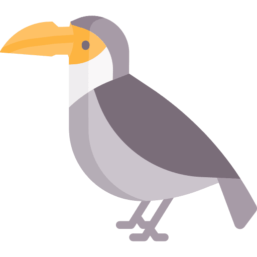 Toucan animals ornithology toucan icon