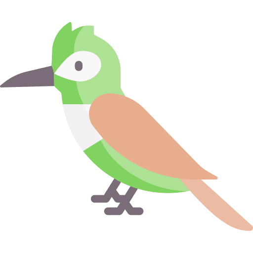 Woodpecker bird ornithology animals icon