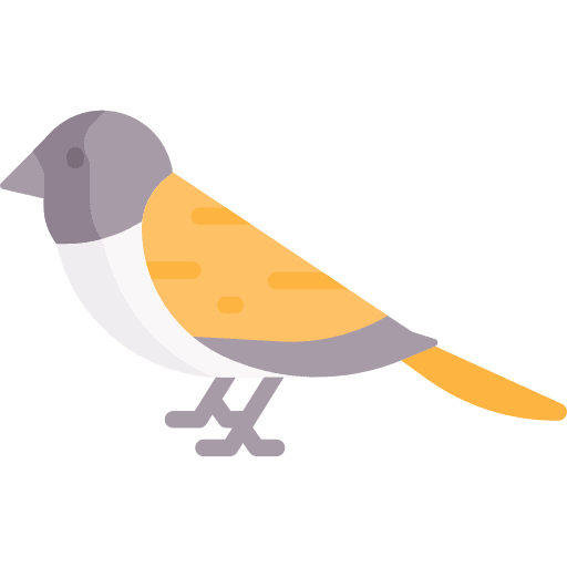 Bird zoo animals ornithology icon