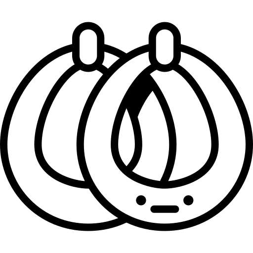 Earrings fashion jewelry hoops icon