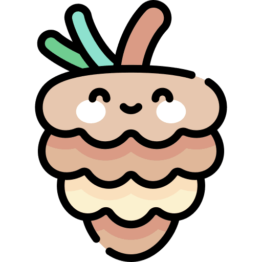 Pine cone nut season nature icon