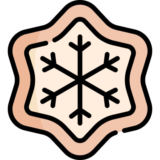 Cookie xmas snowflake sweet icon