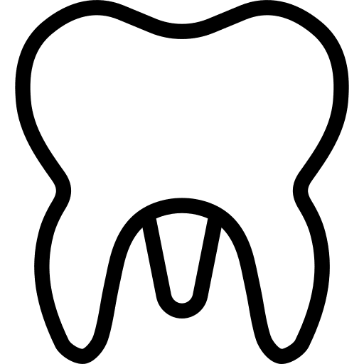 Molar teeth medical molar icon