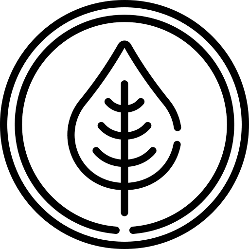 Ecologic nature leaves natural icon