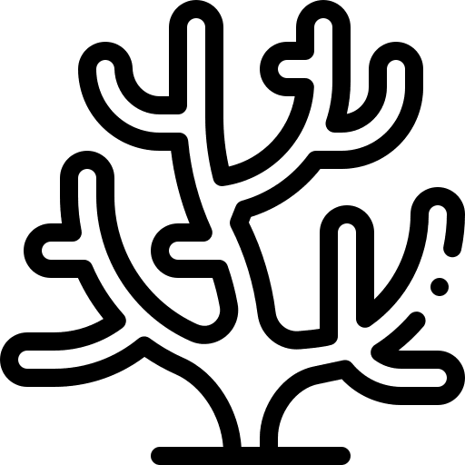 Coral coral marine sea icon