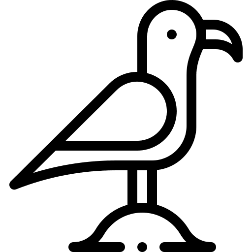 Seagull beak sea fauna icon