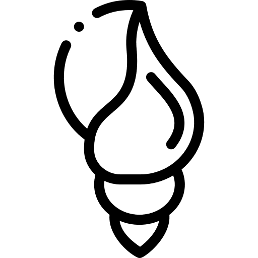 Seashell animal sea life aquatic icon