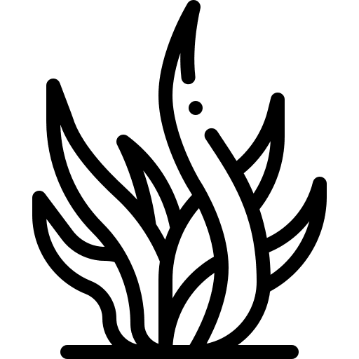 Seaweed aquarium nature sea icon