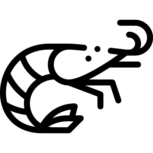 Shrimp animal kingdom sea life aquatic icon