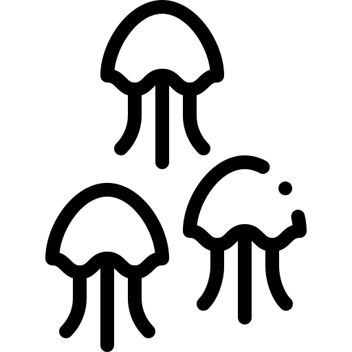 Jellyfish wild life animals aquatic icon